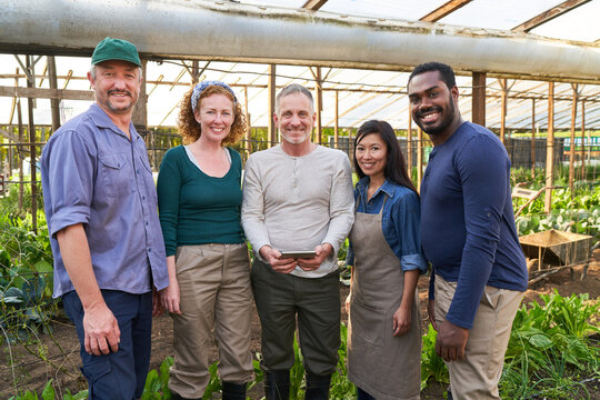 Farmer's team in greenhouse working with tablet computer - Powered by Adobe