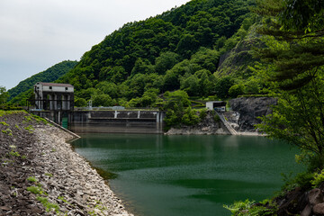 Fototapeta premium 水辺の風景 山梨県広瀬湖