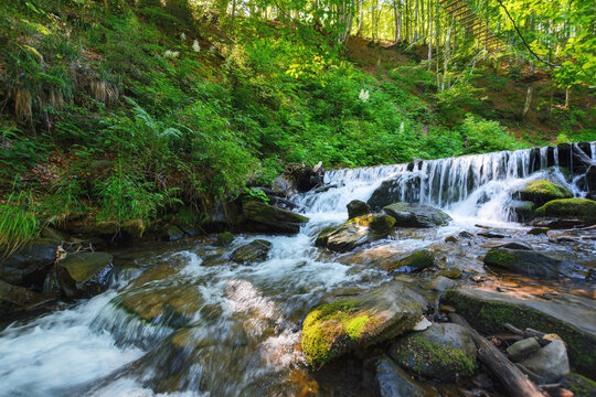 brook in the forest. wilderness nature background with wet rocks on the shore. bright summer day