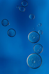 Abstract colorful bubbles. Soft background with blue tones and circles.