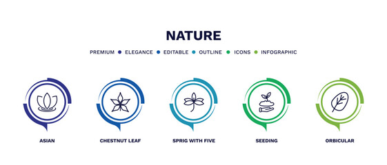 set of nature thin line icons. nature outline icons with infographic template. linear icons such as asian, chestnut leaf, sprig with five leaves, seeding, orbicular vector.