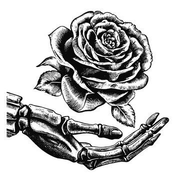 skeleton hand and rose sketch