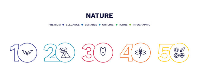 set of nature thin line icons. nature outline icons with infographic template. linear icons such as cuspicate, rainy landscape, obcordate, sprig with five leaves, season vector.