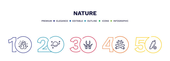 Fototapeta premium set of nature thin line icons. nature outline icons with infographic template. linear icons such as burning flames, planet with satellite, reed bed, camping bonfire, yucca vector.