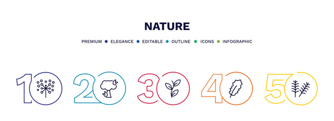 set of nature thin line icons. nature outline icons with infographic template. linear icons such as pollen, pine tree on fire, perfoliate, pedunculate, yew leaf vector.