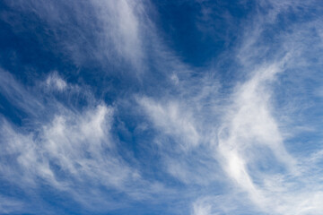 Feather clouds on the bright blue sky