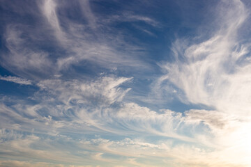 Naklejka na ściany i meble Feather clouds on the bright blue sky