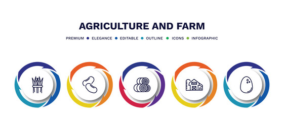 Fototapeta premium set of agriculture and farm thin line icons. agriculture and farm outline icons with infographic template. linear icons such as hay, legume, hay roll, barn, egg vector.