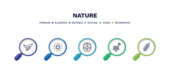 set of nature thin line icons. nature outline icons with infographic template. linear icons such as bilberry leaf, sol, human brian, solar, briar leaf vector.