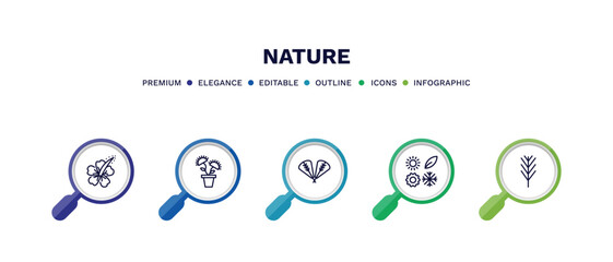 set of nature thin line icons. nature outline icons with infographic template. linear icons such as hibiscus, carnivorous plant, plum leaf, season, pine leaf vector.