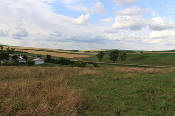 Fototapeta na wymiar A grassy field with buildings in the distance