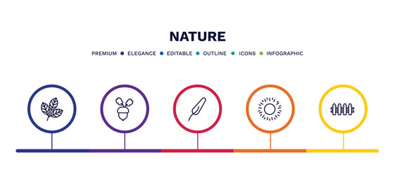 Fototapeta premium set of nature thin line icons. nature outline icons with infographic template. linear icons such as rowan leaf, nut leaf, subulate, shining sun with rays, fences vector.
