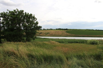 Obraz premium A grassy field with trees and a body of water in the distance