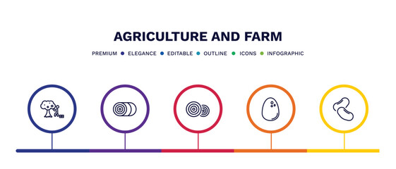 set of agriculture and farm thin line icons. agriculture and farm outline icons with infographic template. linear icons such as self-sufficient, bale of hay, hay bale, egg, legume vector.