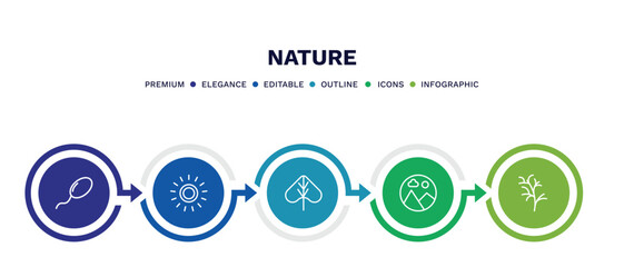 set of nature thin line icons. nature outline icons with infographic template. linear icons such as fertilize clinic, sol, linden leaf, landscape inside frame, cypress leaf vector.