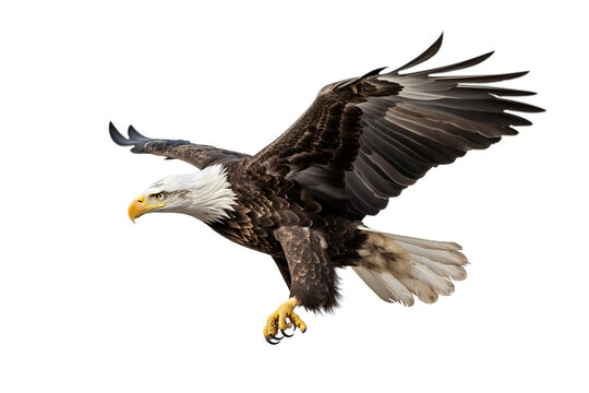 Image of a bald eagle spreading wings on white background. Birds. Wildlife Animals. Illustration, Generative AI.