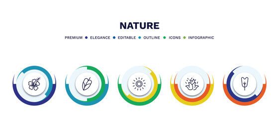 set of nature thin line icons. nature outline icons with infographic template. linear icons such as hibiscus, philodendron, sol, burning flames, obcordate vector.