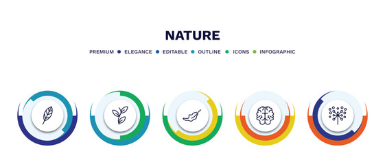 set of nature thin line icons. nature outline icons with infographic template. linear icons such as lanceolate, perfoliate, dry leaf, human brian, pollen vector.