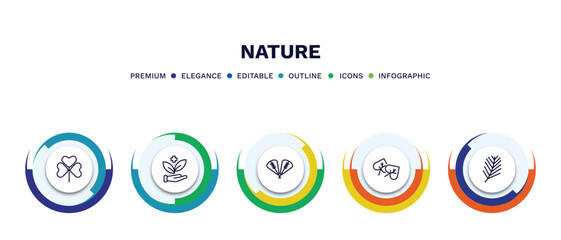 set of nature thin line icons. nature outline icons with infographic template. linear icons such as trifoliate ternate, treatments, plum leaf, cercis leaf, pine needle vector.