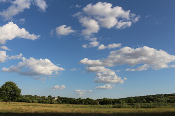 A grassy field with trees and blue sky with clouds