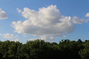 A group of trees with clouds in the sky