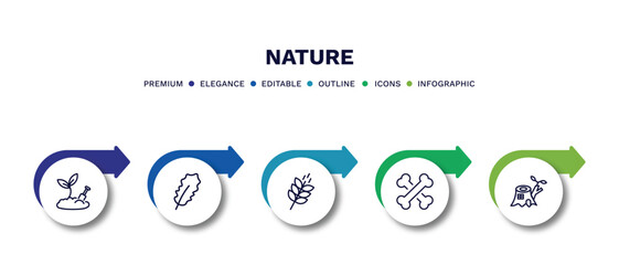 set of nature thin line icons. nature outline icons with infographic template. linear icons such as farming, pedunculate, grains, death, stump house vector.