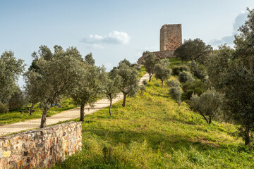 Fototapeta na wymiar Ródão castle or King Wamba castle with field of olive trees in the foreground on a sunny day in Vila Velha de Ródão, Portugal.