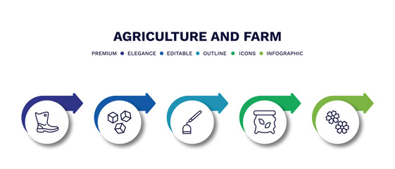 set of agriculture and farm thin line icons. agriculture and farm outline icons with infographic template. linear icons such as farmer boots, sugar, hoe, seed bag, spring flower vector.
