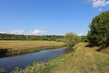 A river with trees and grass