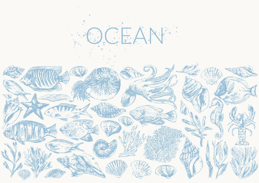 Sea life background wirh sea animals and fish illustration, octopus, nautilus, shells, seahorse, star fish, seaweed, corals