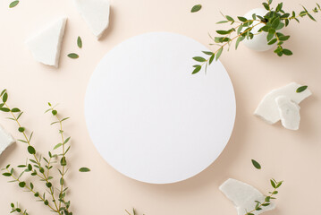 Natural beauty concept. Top view photo of empty circle surrounded by branches of eucalyptus and...