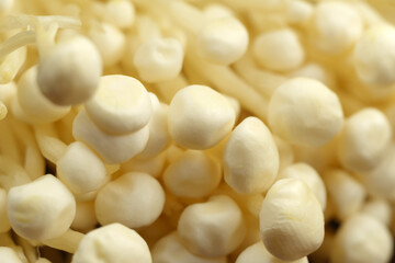 Enoki mushroom close up macro, Golden needle mushroom, used i food and salads.