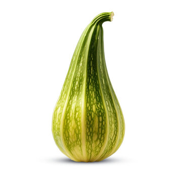 Pointed gourd on transparent png background