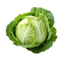 Obraz premium Cabbage on transparent png background