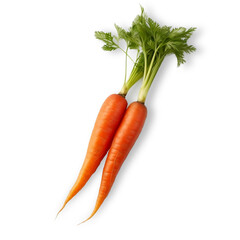 Carrot on transparent png background