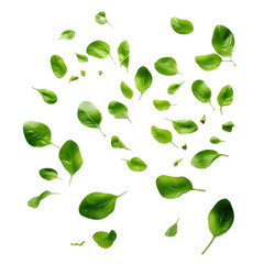 Green Floating Leaves Flying Leaves Green Leaf Dancing on transparent png background