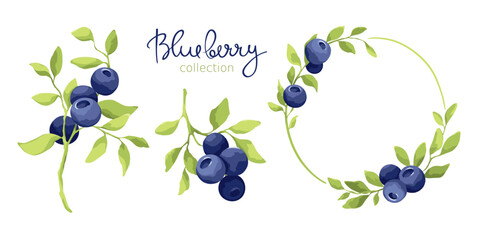Blueberry - vector illustrations. Set of design elements with a branch with leaves and berries. Freehand drawing in watercolor style.