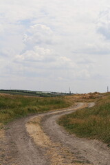 Fototapeta na wymiar A dirt road with grass and a cloudy sky