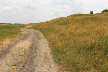 Fototapeta na wymiar A dirt road in a grassy field