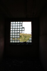 A window with a view of a forest