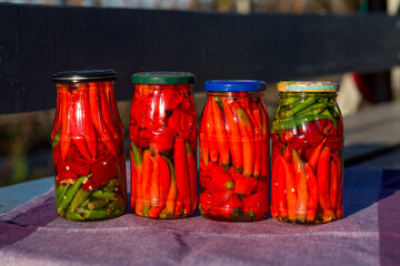 Four jars of canned green and red peppers in apple cider vinegar stand on a bench on a lilac fabric in the garden