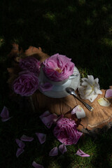 A cup with a rose. Roses. Still life. Breakfast. Morning. Tea drinking. Roses in the garden. Pink roses. Tea ceremony with roses. Rose tea. Green grass. Log. Firewood. White cup. Roses on a tree deck.