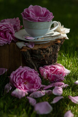 A cup with a rose. Roses. Still life. Breakfast. Morning. Tea drinking. Roses in the garden. Pink roses. Tea ceremony with roses. Rose tea. Green grass. Log. Firewood. White cup.