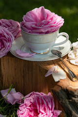 A cup with a rose. Roses. Still life. Breakfast. Morning. Tea drinking. Roses in the garden. Pink roses. Tea ceremony with roses. Rose tea. Green grass. Log. Firewood. White cup. Roses on a tree deck.
