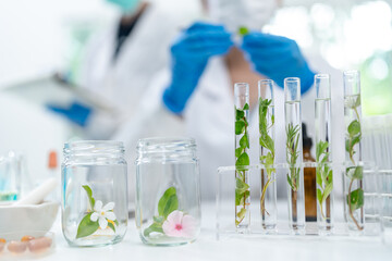 medicine experiment and chemical biology study in science laboratory research, scientist testing...