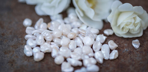 Natural freshwater pearls of various shapes and colors are photographed on a metall 