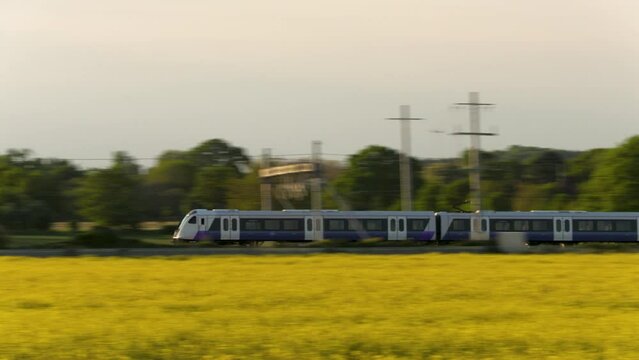 Panning shot of a train passing a field of oilseed rape yellow flowers in the British or English countryside at dusk
