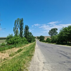 Fototapeta na wymiar A road with trees on the side