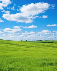 Fototapeta premium Landscape view of green grass on a hillside with blue sky and clouds in the background. Beautiful natural landscape of countryside hills created with generative AI technology.