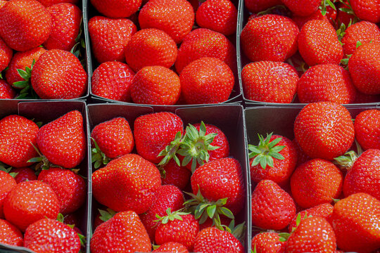 Selective focus of red ripe strawberry in plastic boxes, Fresh fruit from the farm on market, The garden strawberry is a widely grown hybrid species of the genus Fragaria, Health benefits of berries.